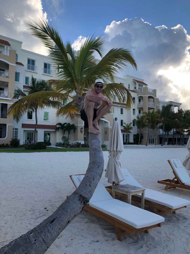 resort, palm tree, climber, beach, vacation